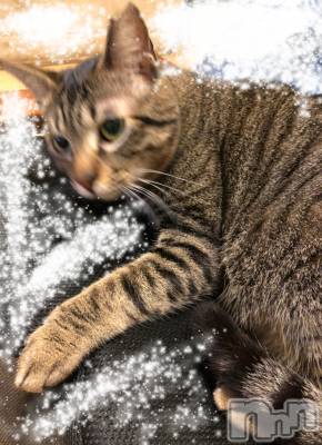 長野デリヘル Story ～人妻物語～(ストーリー) 激安☆るみこ(43)の1月31日写メブログ「こんにちは➰お久しぶりです。」