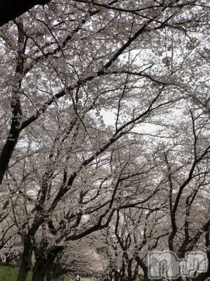 長野デリヘル Story ～人妻物語～(ストーリー) 激安☆るみこ(43)の3月29日写メブログ「先程はありがとうございました。」