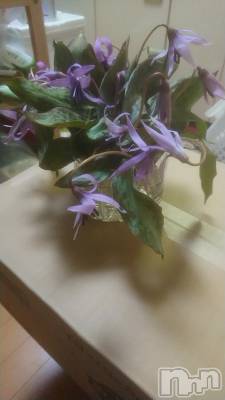 長野デリヘル Story ～人妻物語～(ストーリー) 激安☆るみこ(43)の4月5日写メブログ「お初に御目にかかりました。とーっても嬉しかったです。」