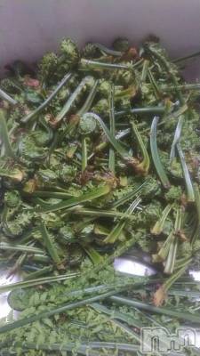 長野デリヘル Story ～人妻物語～(ストーリー) 激安☆るみこ(43)の4月5日写メブログ「いつもありがとうございます。嬉しいなっ。またお逢いできました。」