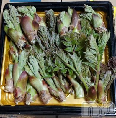 長野デリヘル Story ～人妻物語～(ストーリー) 激安☆るみこ(43)の4月22日写メブログ「わぁ～嬉しい～。お久しぶりにお逢いできました。」