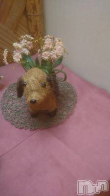 長野デリヘル Story ～人妻物語～(ストーリー) 激安☆るみこ(43)の5月27日写メブログ「お花の綺麗な季節だぁ～。」