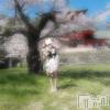 長野人妻デリヘル Story ～人妻物語～(ストーリー) 激安☆るみこ(43)の4月8日写メブログ「綺麗なぁ～ほのかな香りのする～桜の木の下で～」