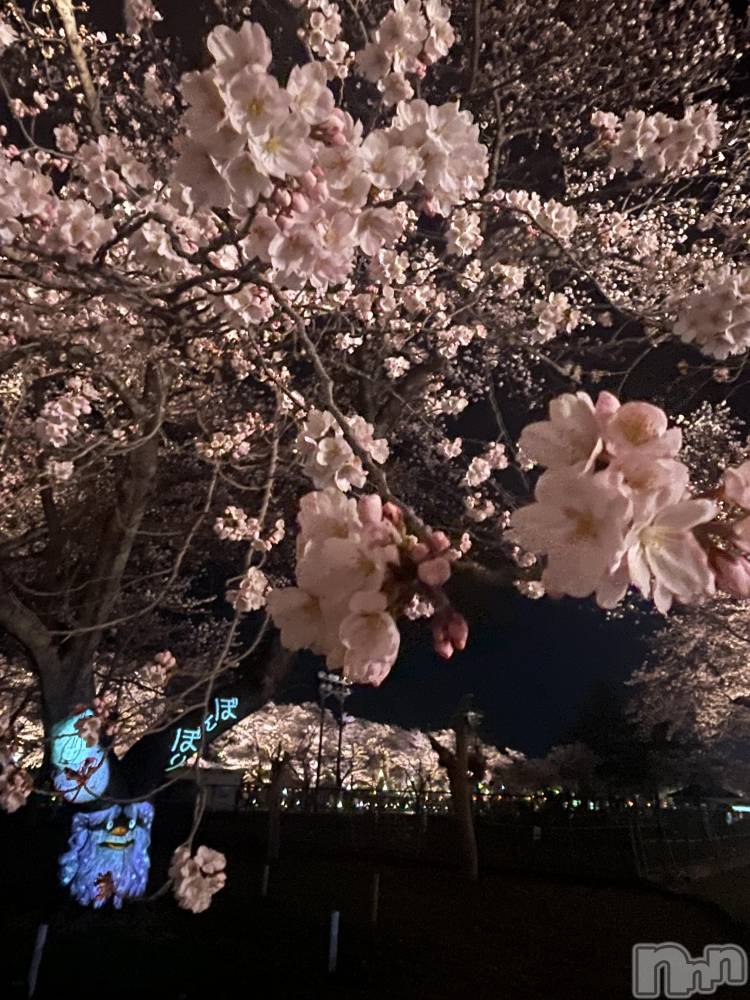 上越デリヘル上越最安値！奥様Deli急便(ジョウエツサイヤスネ！オクサマデリキュウビン) ミケポアイドル　あいは(28)の4月11日写メブログ「生きてはいます汗」