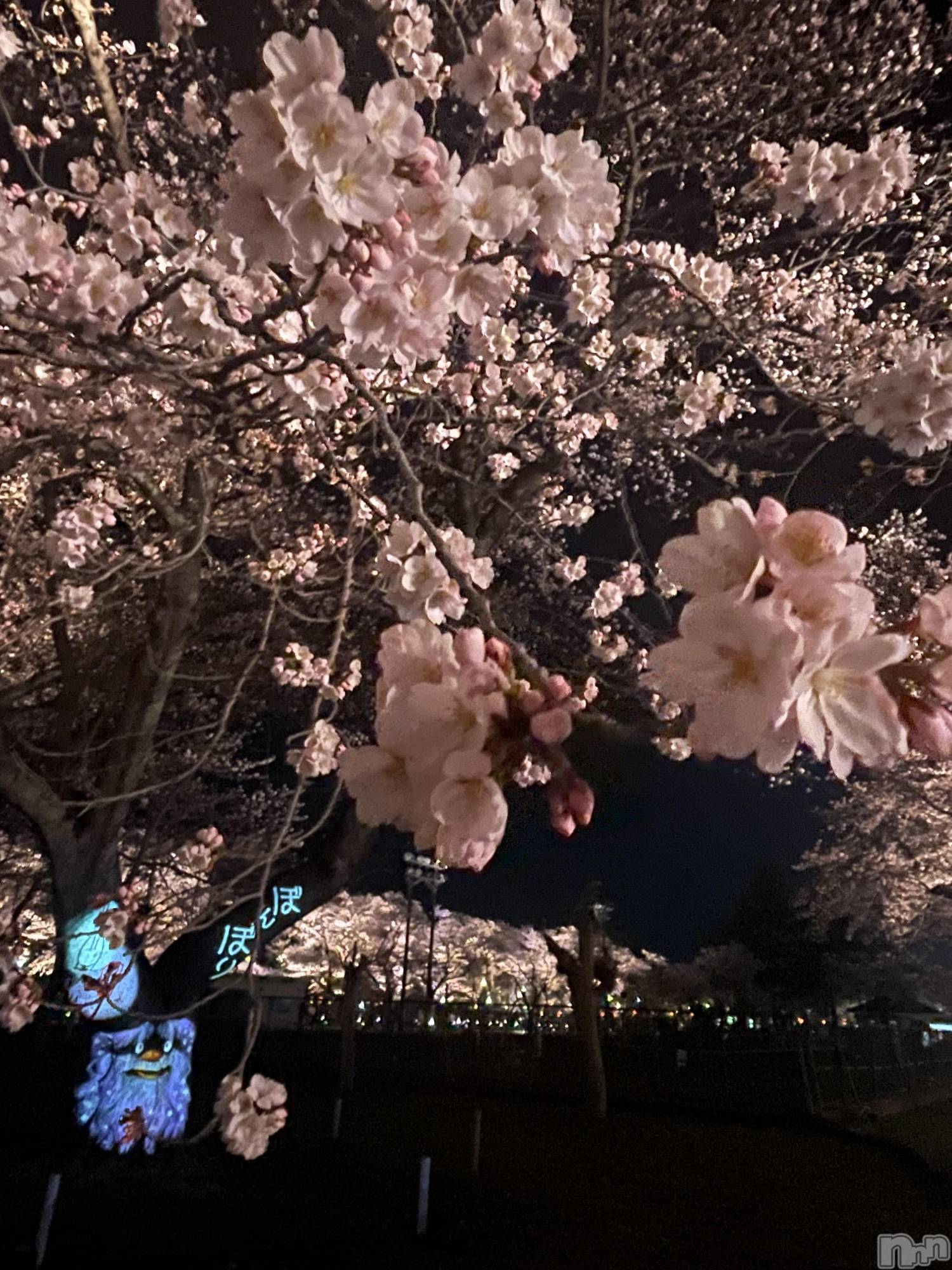 上越デリヘル上越最安値！奥様Deli急便(ジョウエツサイヤスネ！オクサマデリキュウビン)ミケポアイドル　あいは(28)の2026年4月11日写メブログ「生きてはいます汗」