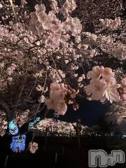 上越デリヘル上越最安値！奥様Deli急便(ジョウエツサイヤスネ！オクサマデリキュウビン) ミケポアイドル　あいは(28)の4月11日写メブログ「生きてはいます汗」