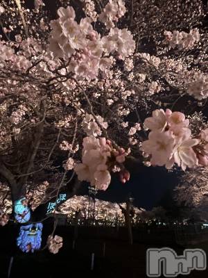 上越デリヘル 上越最安値！奥様Deli急便(ジョウエツサイヤスネ！オクサマデリキュウビン) ミケポアイドル　あいは(28)の4月11日写メブログ「生きてはいます汗」