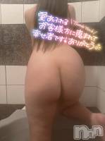 生存報告、お久しぶりです。