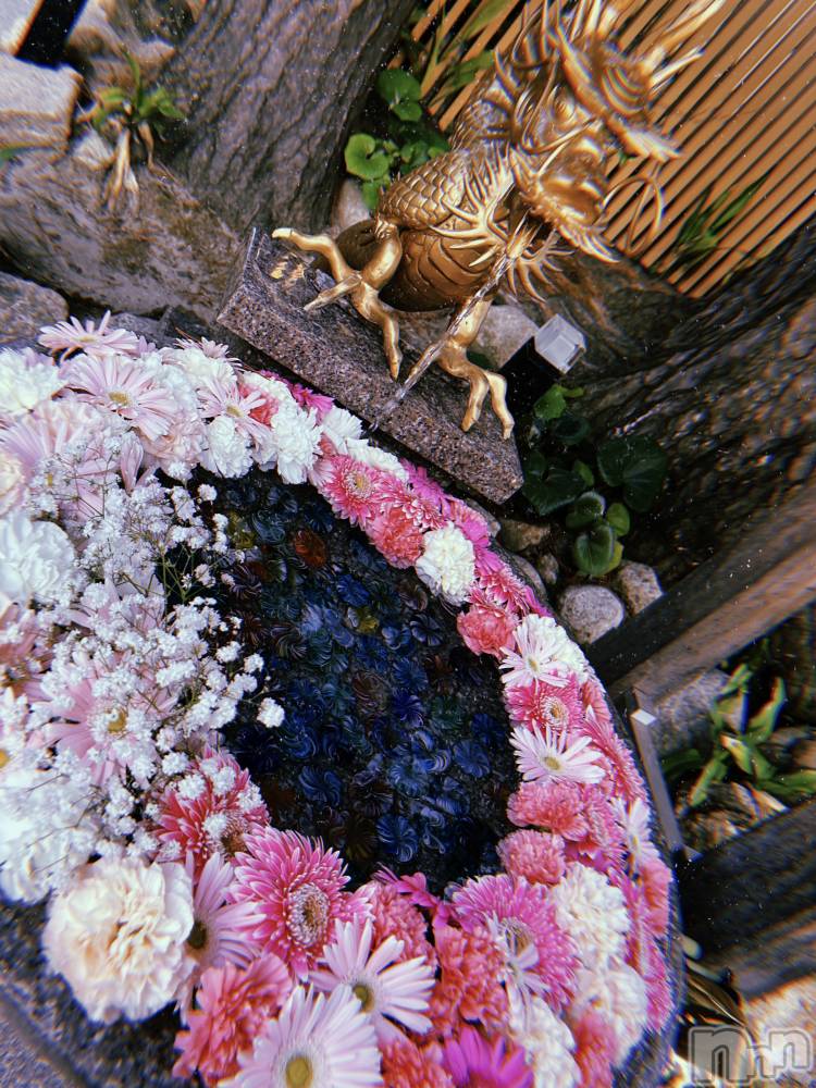 Įʥå륺СEGOIST() 119ֽ̥֥⛩