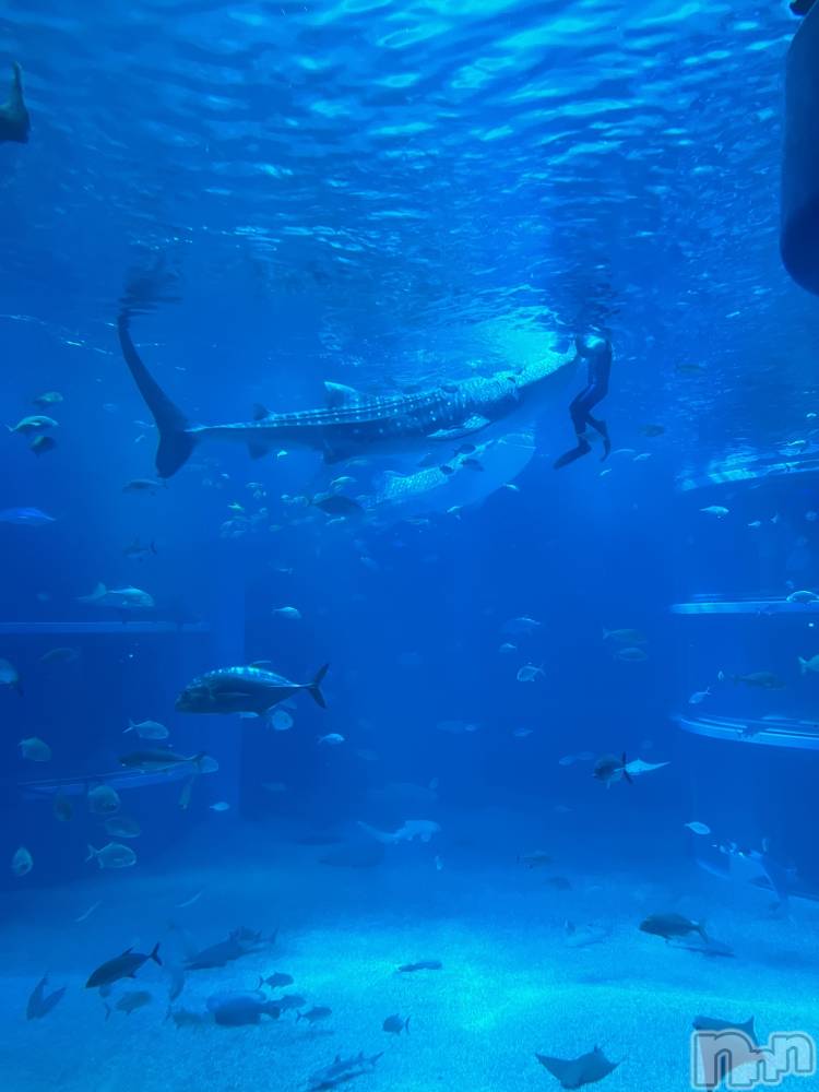 Įʥå륺СEGOIST() 618̥֥֥٥🦈