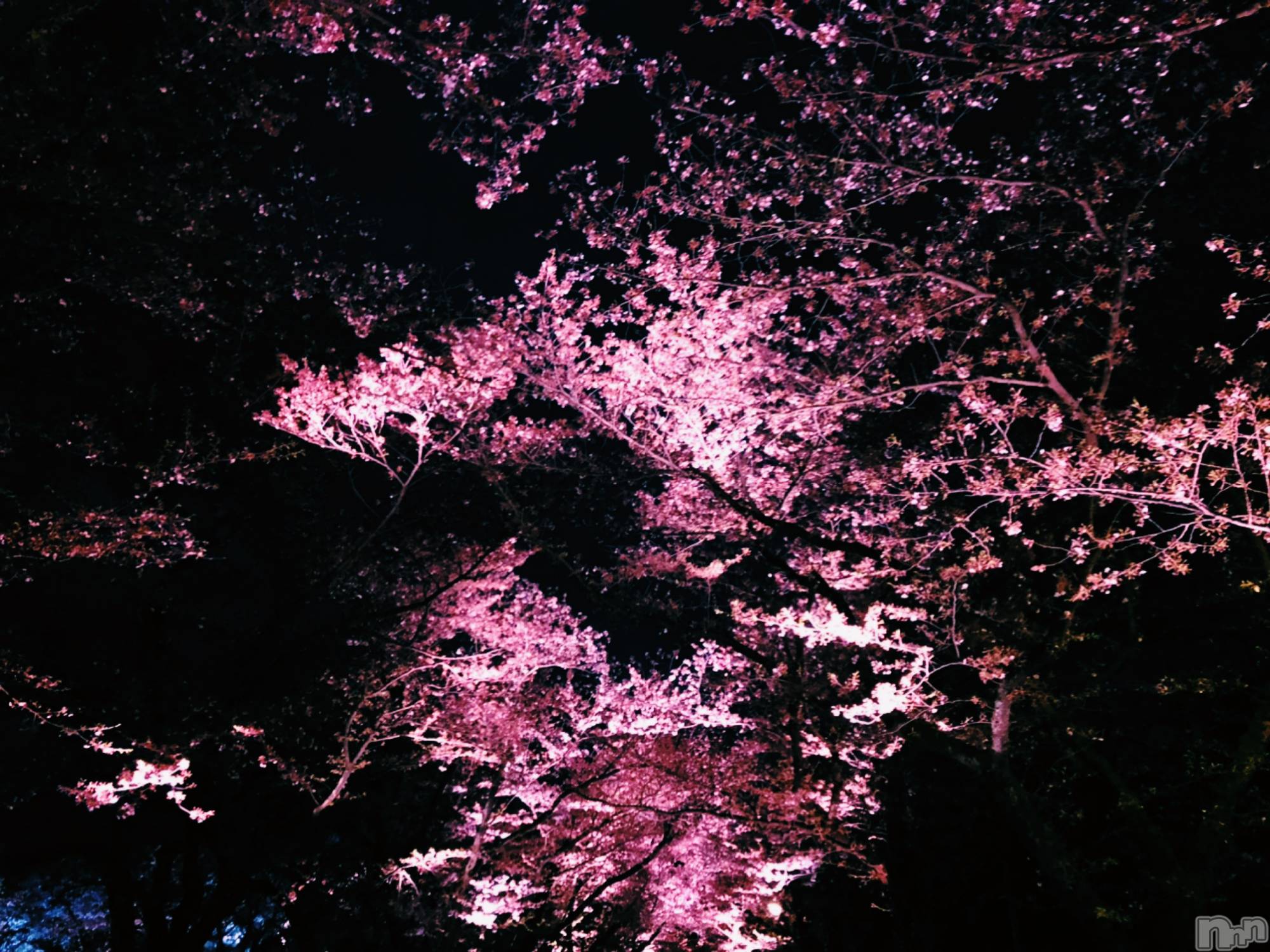 Įʥå륺СEGOIST() 2021ǯ417̥֥֤顪