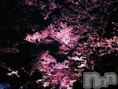 Įʥå륺СEGOIST() 417̥֥֤顪