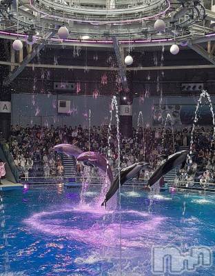 Įʥå륺СEGOIST() 1125̥֥⋆⸜🐬⸝⋆