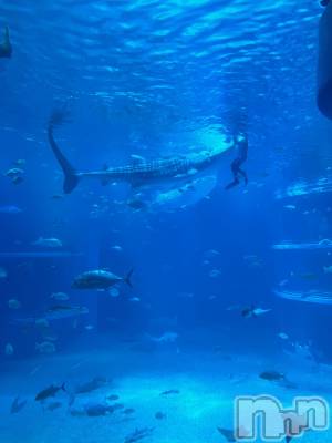 Įʥå륺СEGOIST() 618̥֥֥٥🦈