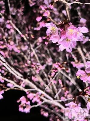 Įʥå륺СEGOIST() 624̥֥🌸