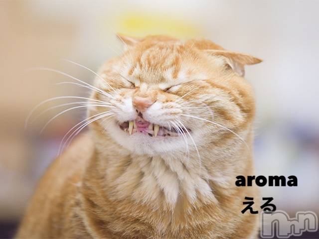 長岡デリヘル長岡風俗出張アロママッサージ(ナガオカフウゾクシュッチョウアロママッサージ) 美熟女☆える(43)の7月12日写メブログ「★える★」