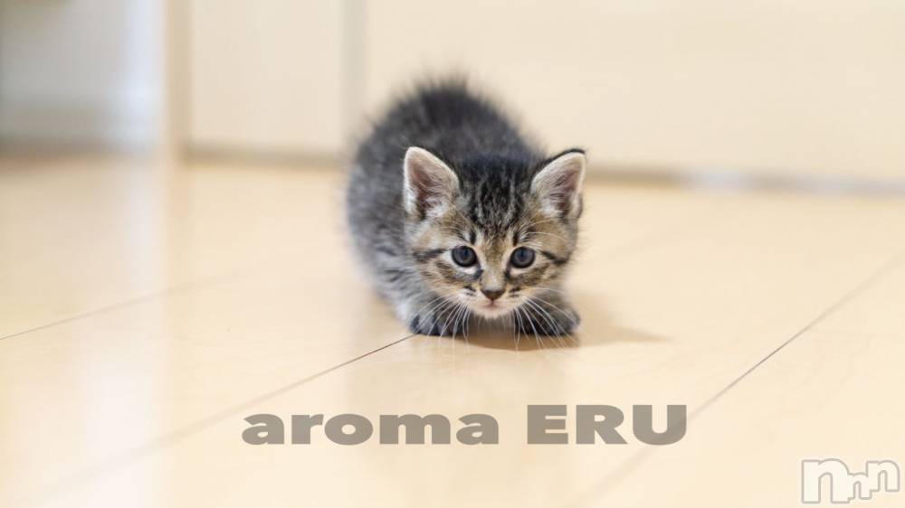 長岡デリヘル長岡風俗出張アロママッサージ(ナガオカフウゾクシュッチョウアロママッサージ) 美熟女☆える(43)の12月3日写メブログ「★える★」