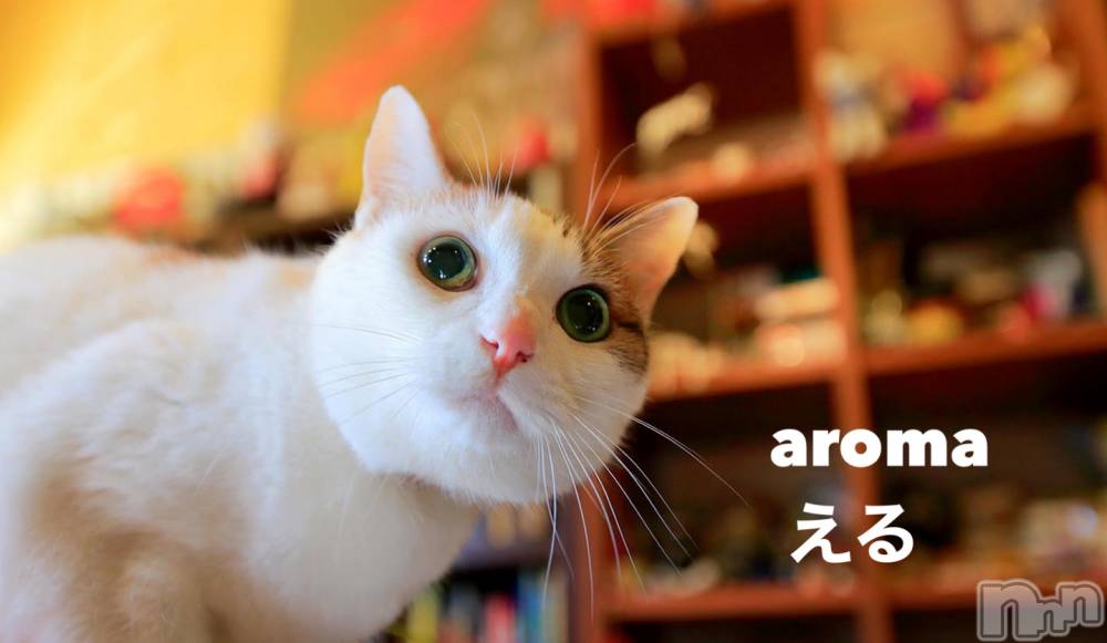 長岡デリヘル長岡風俗出張アロママッサージ(ナガオカフウゾクシュッチョウアロママッサージ) 美熟女☆える(43)の12月15日写メブログ「★える★」
