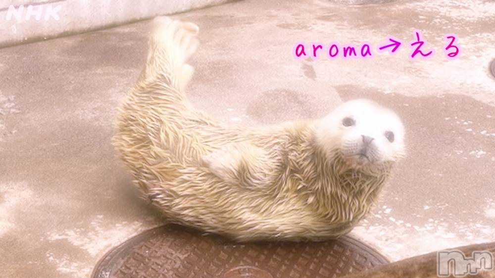 長岡デリヘル長岡風俗出張アロママッサージ(ナガオカフウゾクシュッチョウアロママッサージ) 美熟女☆える(43)の4月15日写メブログ「★える★」