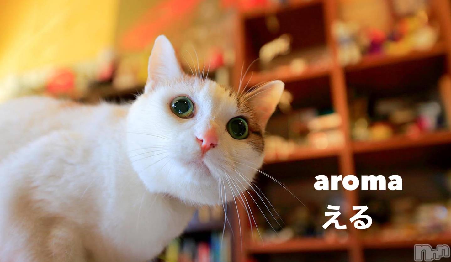 長岡デリヘル長岡風俗出張アロママッサージ(ナガオカフウゾクシュッチョウアロママッサージ)美熟女☆える(43)の2022年12月15日写メブログ「★える★」