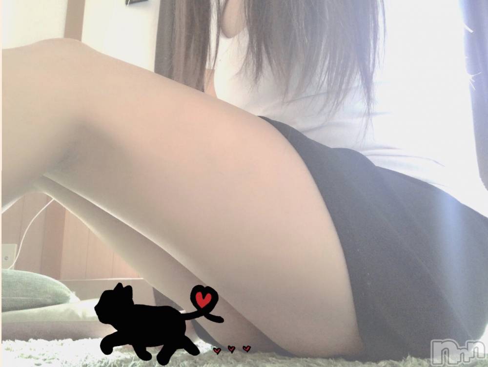 㡦ȯĥꥢ󥺥ƺʿ Ź   (祯ӡ˥奦ƥ) 礦SPбġۤ613̥֥
