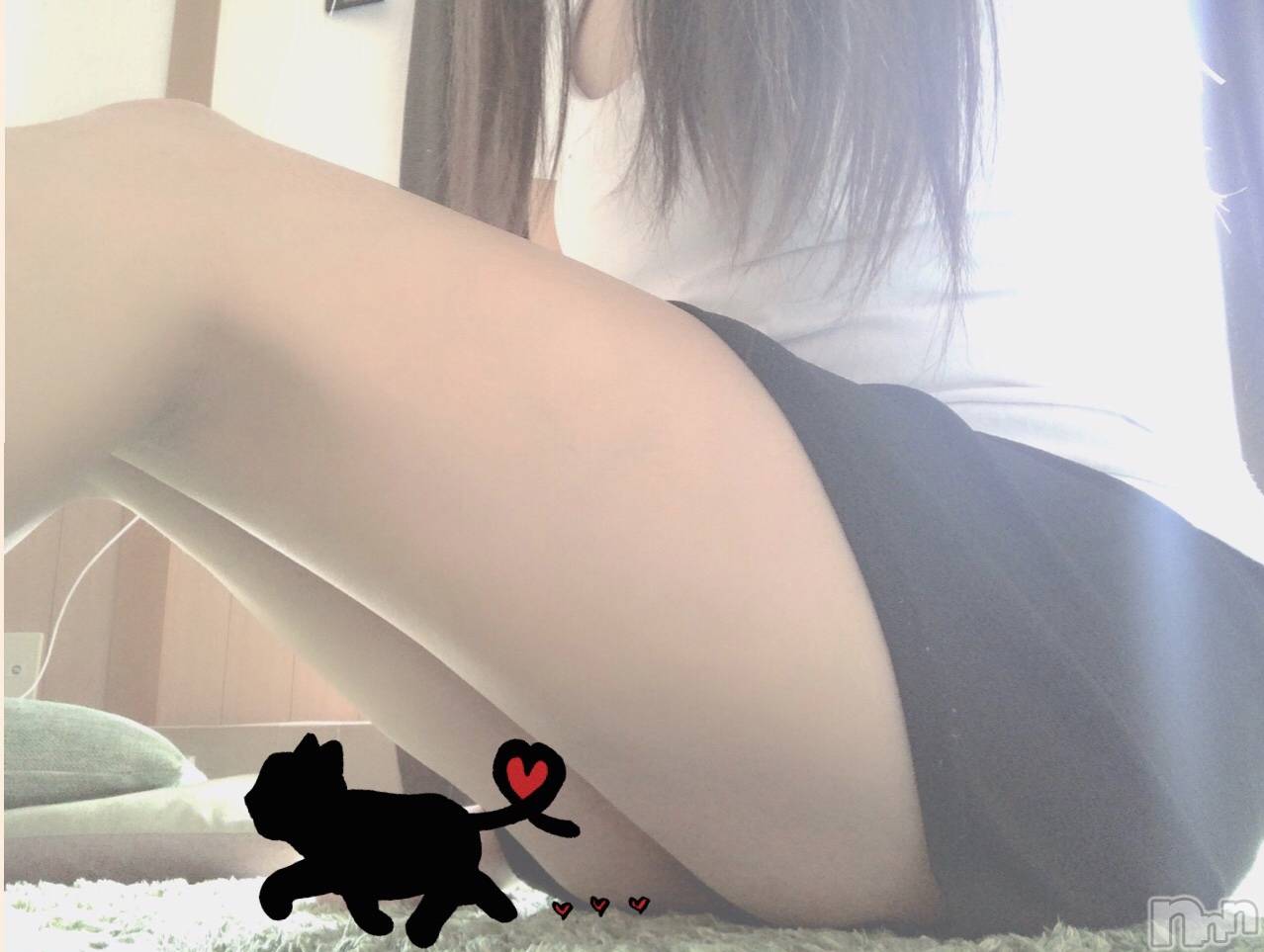 㡦ȯĥꥢ󥺥ƺʿ Ź   (祯ӡ˥奦ƥ) 2020ǯ910ֱ̥֥