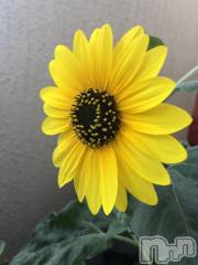 新潟メンズエステ妻色兼美 新潟中央店   (サイショクケンビ　ニイガタチュウオウテン) りょう【SP対応可】(21)の6月4日写メブログ「ひまわり」