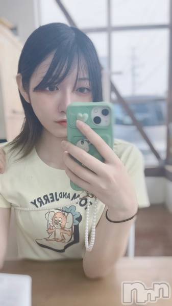 ȯѥ˥󥯥ֿ㥳(˥)  2025ǯ115̥֥¡㸩絬ϤΥо