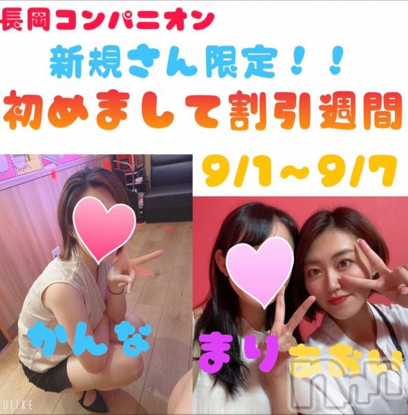 ȯѥ˥󥯥ֿ㥳(˥)  2020ǯ830ֽ̥֥ޤƤǤʤŹ🌟