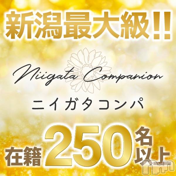 ȯѥ˥󥯥ֿ㥳(˥)  2025ǯ110̥֥֡Ǥ˥ԡ³СΥѡ