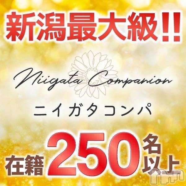 ȯѥ˥󥯥ֿ㥳(˥)  2025ǯ47̥֥֡ڥѡ2025ǯ٣Χ.ڿ㣱̡ۡ