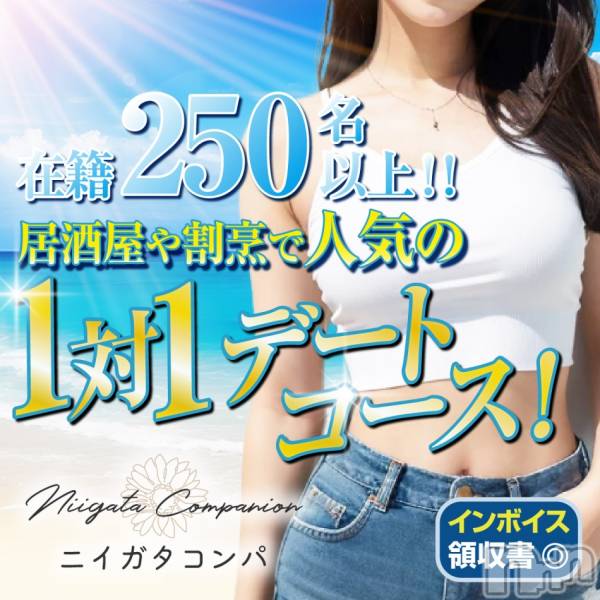 ȯѥ˥󥯥ֿ㥳 -㥳ѥ˥󥯥-(˥ -˥ѥ˥󥯥-)  2025ǯ716̥֥֡ۥѣ⥤٥ȳšȾۡ