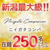 ȯѥ˥󥯥 㥳(˥)53Ź®GWͷӿԤڤᤴ㤪