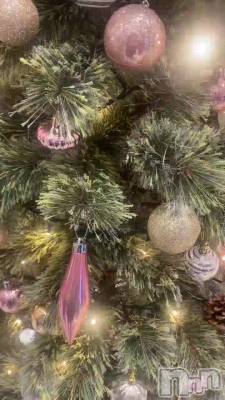 🎄🤍
