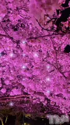 ڡäƤ🌸🌸