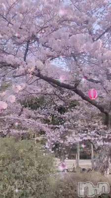 🌸