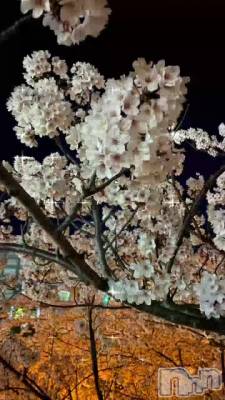 𓂃🌸𓈒𓏸