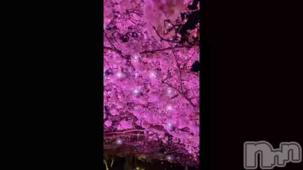 ֥ڡäƤ&#x1F338;&#x1F338;