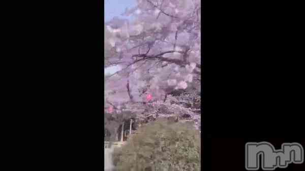 &#x1F338;
