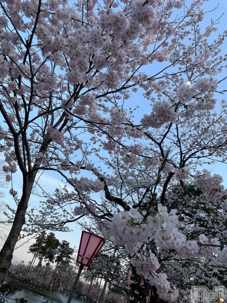 ȯĥХ顦La.DOUBLE(֥)  Ųڤ49ֺ̥֥🍃🌸
