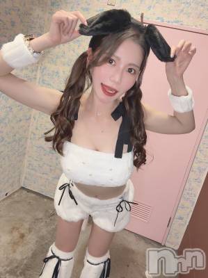 ��ȯ�ĥ���Х��顦�����double(���֥�) �줤�ʤ�1��17���̥�֥����֤������������Ρ���