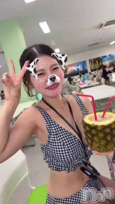 🍍🍍🍍