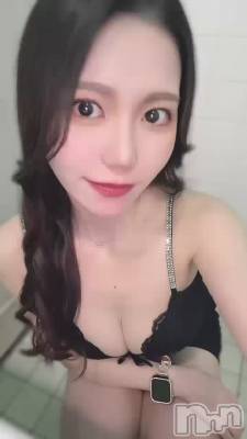 Ƭ����Υ��ʤ�⚠️