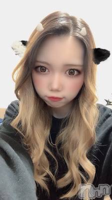 ȯĥХ顦La.DOUBLE(֥) 뤤217̥֥֤줫ơ