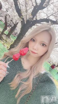 ȯĥХ顦La.DOUBLE(֥) 뤤330̥֥֤ޡ