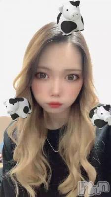 ʤˤ