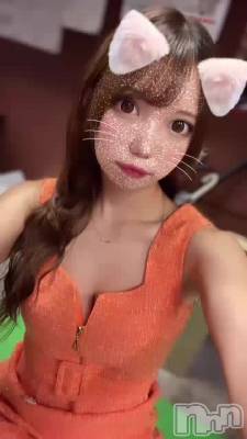 ʤ衪