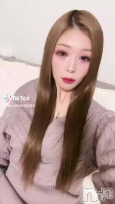 1211 2036ʬư