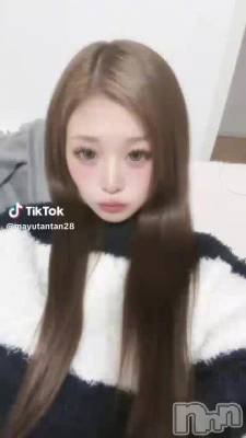 19 0434ʬư