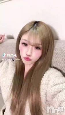 131 2022ʬư